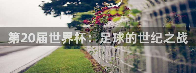 2026世界杯亚洲区预选赛:第20届世界杯:足球的世纪之战