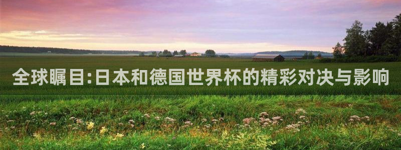美国世界杯:全球瞩目:日本和德国世界杯的精彩对决与影响
