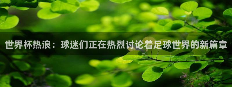 足球世界杯2026年赛程时间表:世界杯热浪:球迷们正在热烈讨论着足球世界的新篇章