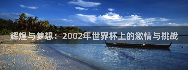世界杯欧洲预选赛赛程:辉煌与梦想:2002年世界杯上的激情与挑战