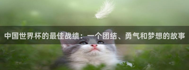 2026 世界杯:中国世界杯的最佳战绩:一个团结、勇气和梦想的故事