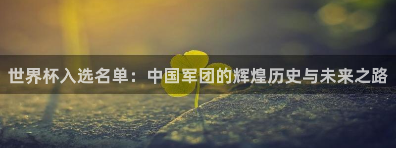 女足世界杯赛程:世界杯入选名单:中国军团的辉煌历史与未来之路