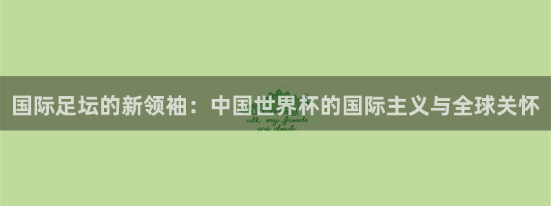 世界杯预选赛排名:国际足坛的新领袖:中国世界杯的国际主义与全球关怀
